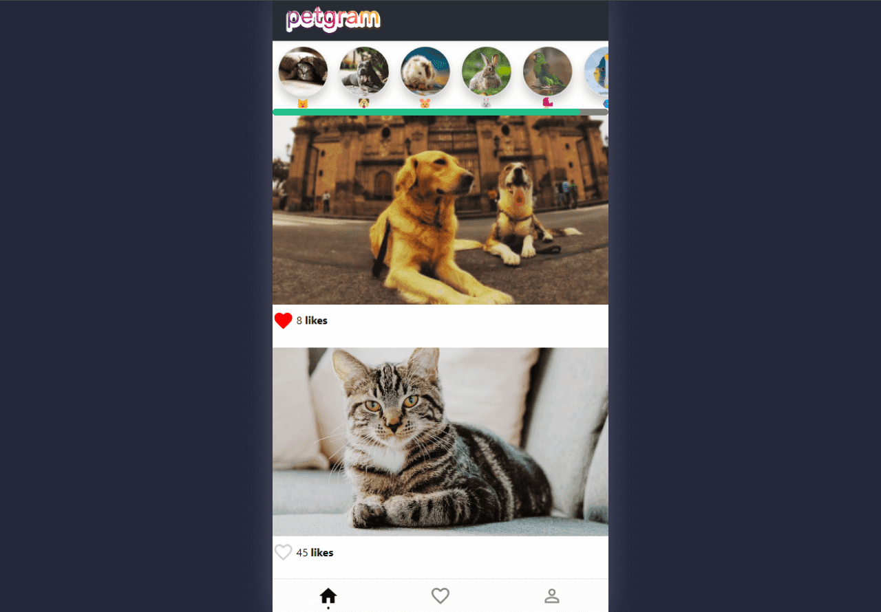 Petgram platform